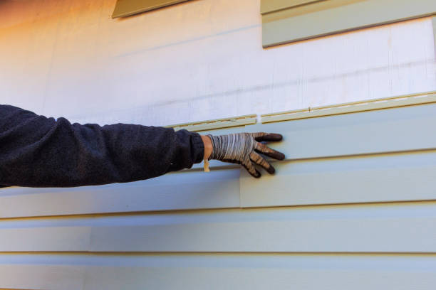 Best Steel Siding Installation  in Vandenberg Village, CA